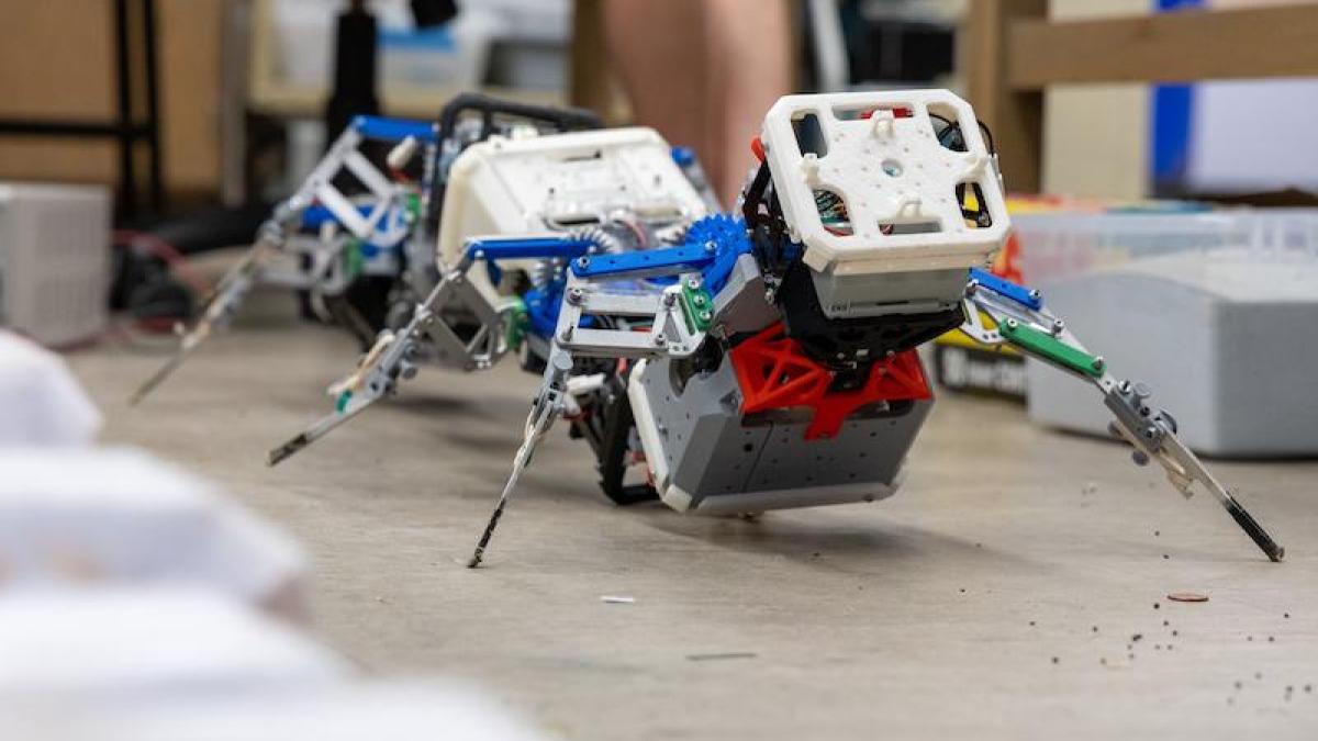 Many-legged robotic model