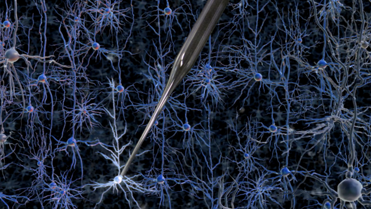 A robotically controlled glass electrode enables single-cell electrical recordings in living brain tissue.