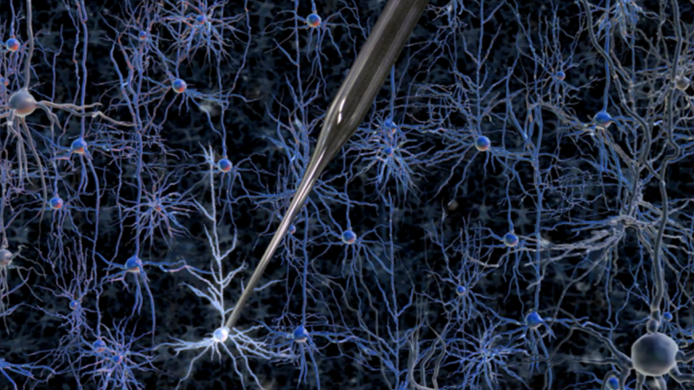 A robotically controlled glass electrode enables single-cell electrical recordings in living brain tissue.