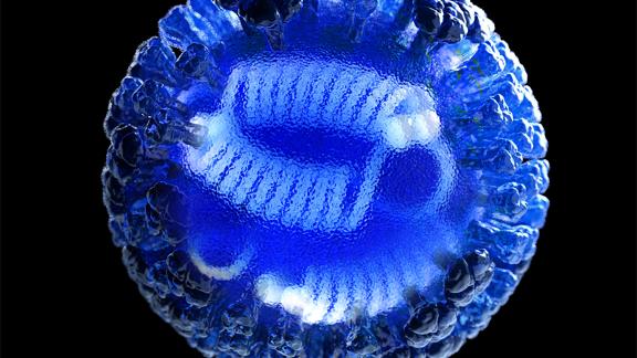 This illustration depicts a 3D computer-generated rendering of a whole influenza (flu) virus, rendered in semi-transparent blue, atop a black background. The transparent area in the center of the image, revealed the viral ribonucleoproteins (RNPs) inside. (Credit: CDC/ Douglas Jordan)
