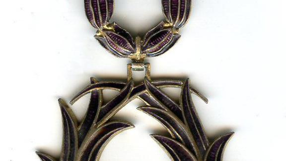 Chevalier dans L'ordre des Palmes Académiques (Photo Wikimedia Commons)
