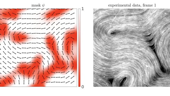 Left, a graphic showing microtubules orienting themselves in the experiment. Right, a still from a video showing microtubules moving at the interface of oil and water. Graphic by Roman Grigoriev


 
