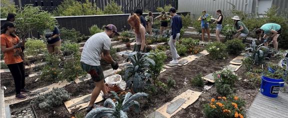 roofgarden2.jpg
