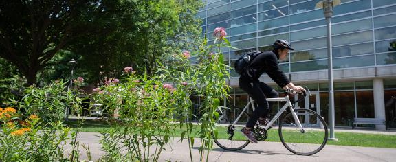 Cyclist on Georgia Tech's Campus 