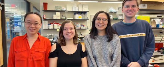 The Han Lab: (from left to right) Liang Han, Katy Lawson, Rossie Nho, William Hancock