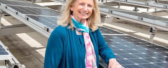 Marilyn Brown solar 169 (1).jpg