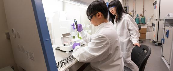 Researchers in Nga Lee (Sally) Ng's lab