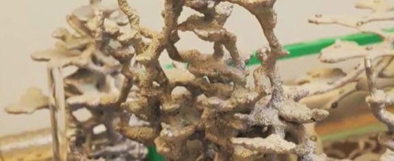 Cast_Ant_Hill_cropped.jpg