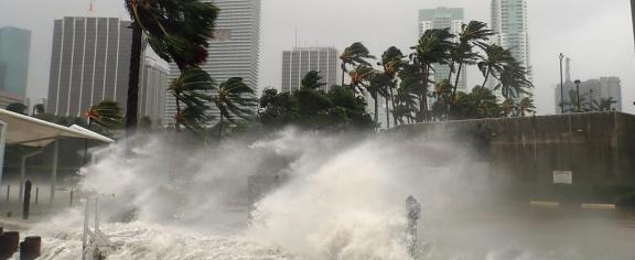 Hurricane Damage