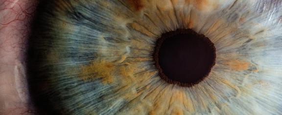 A human eye - Image from Unsplash