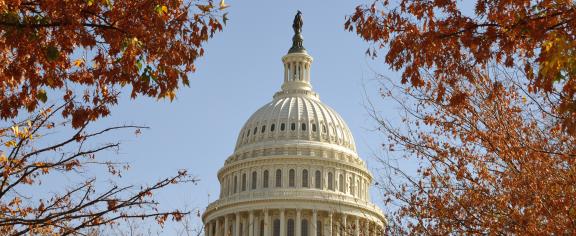 U.S.-Capital-Bldg-in-the-Fall.jpg