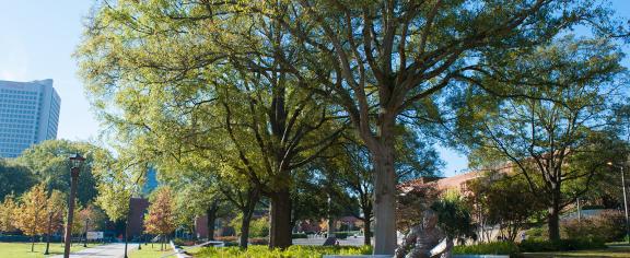 Trees around Einstein Statue