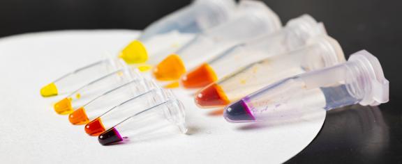 Mark-Styczynski-Protein-Biosensor-0372-h.jpg