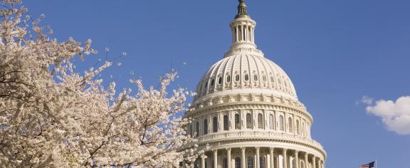 US-Capital-with-Cherry-Blossoms.jpg