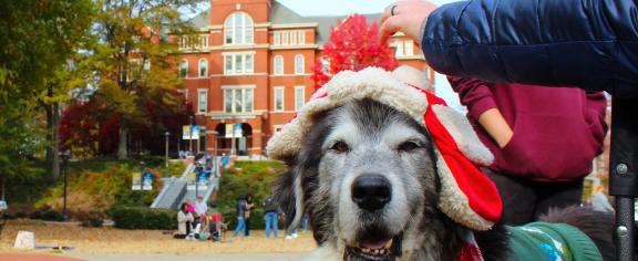 Big Bear at the December Parents With Pups event. 