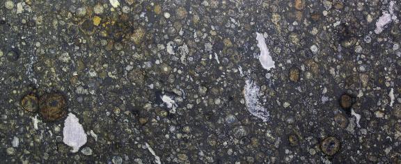 Many carbon-rich meteorites contain ingredients commonly found in life, but no evidence of life itself. James St. John, CC BY