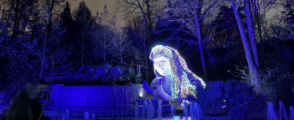 Garden Lights, Holiday Nights