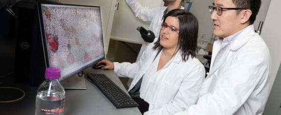 Cancer-target-synthetic-antigen-car-t-cell-therapy-3623-h.jpg