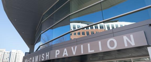 McCamish Pavilion