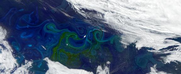A satellite image of blooming phytoplankton, visible as green-tinted swirls, in the South Atlantic. Credit: NASA Credit: NASA (OCI sensor aboard PACE on January 5, 2025)