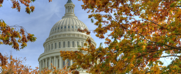 Capital Building in the Fall.png