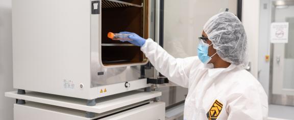 A researcher in the Marcus Center of Excellence for Cell Biomanufacturing removes cultured cells from an incubator for further characterization and testing.