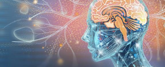 The human brain has 86 billion neurons that make trillions of connections. Grafissimo/DigitalVision Vectors via Getty Images