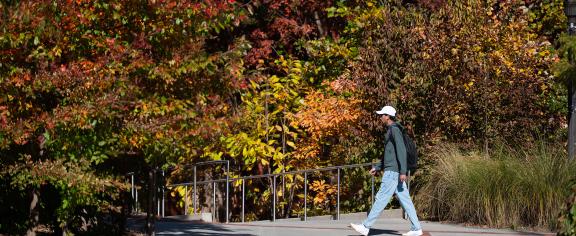 Fall on Campus