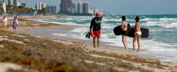 Sargassum littered beaches in Fort Lauderdale, Fla., in spring 2023, making a mess during spring break. Joe Raedle/Getty Images