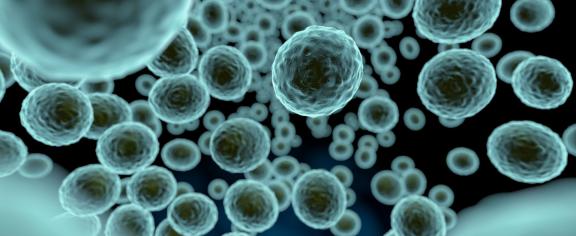 Several space missions are searching for extraterrestrial life, which could come in the form of microbes