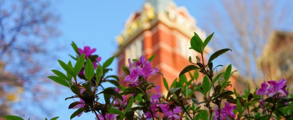Georgia Tech Campus in Spring 