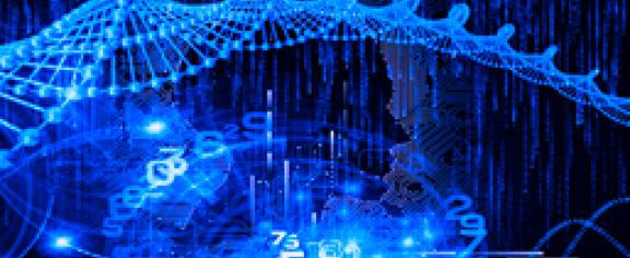 Algorithm and Software_PublicUseImage
