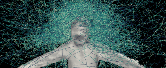 Trajectories of mosquitoes flying around a human target. David L. Hu, Georgia Tech