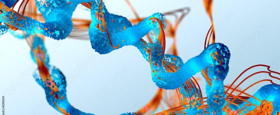 Amino Acids