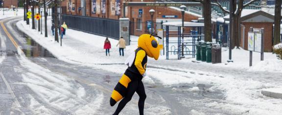 Buzz Walks on Campus With Ice and Snow