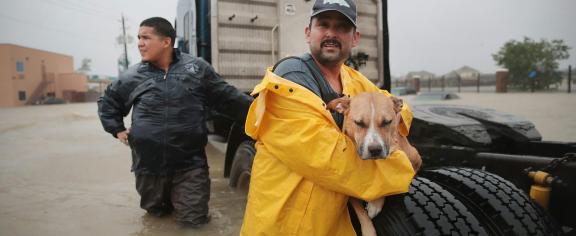 Hurricane Harvey dropped several feet of rain on Texas, stranding trucks, people and their pets. Scott Olson/Getty Images