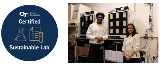 Molecular Evolution Core Lab 