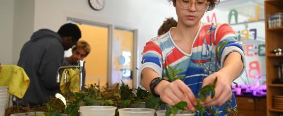 Students participate in the Plant Library. 