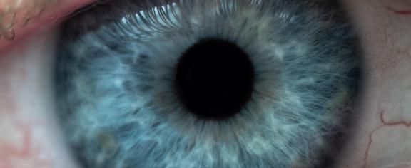 Close-up of eye