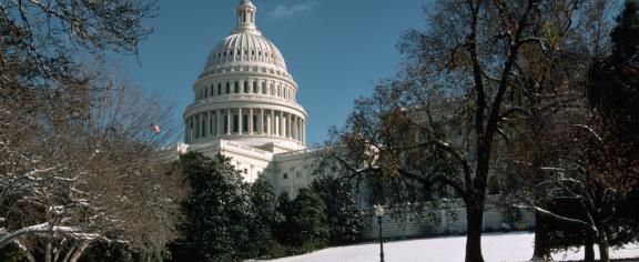 U.S Capital Building 