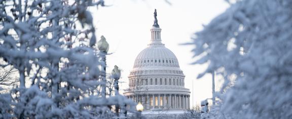 US-Capital-Building-with-Snowy-Trees.jpg