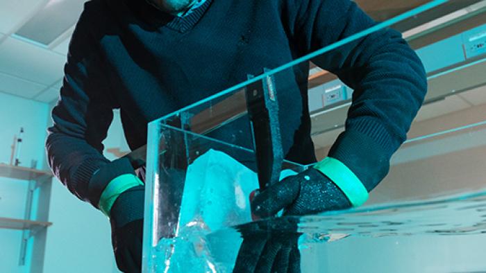 Alex Robel Lab