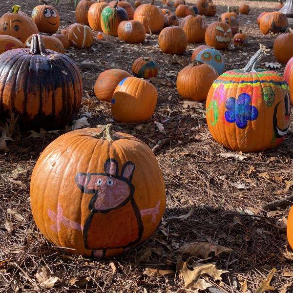 painted pumpkins