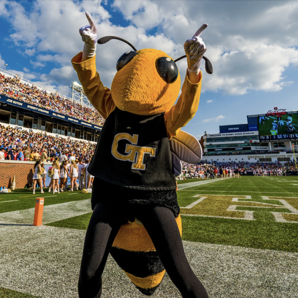 Photo courtesy of Georgia Tech Athletics
