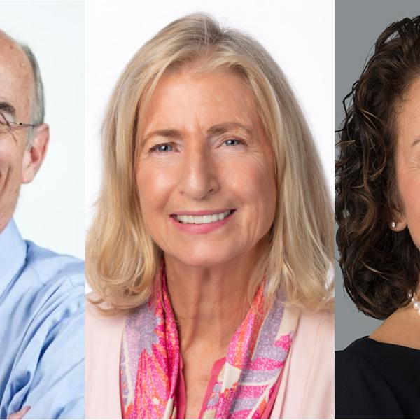 Rafael Bras, Marilyn Brown, and Susan Margulies
