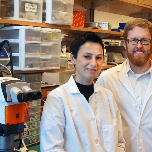Brandon Dixon, researcher in the School of Mechanical Engineering, with Dr. Zhanna Nepiyushchikh in the lab. 